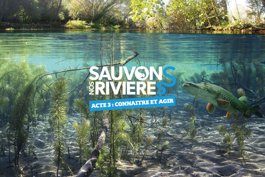 Sauvons nos rivières - Acte 3