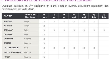 Parcours en 2° catégorie : lâchers de truites fario