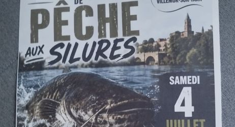 Concours de pêche du silure
