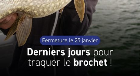 Fermeture de la pêche des carnassiers