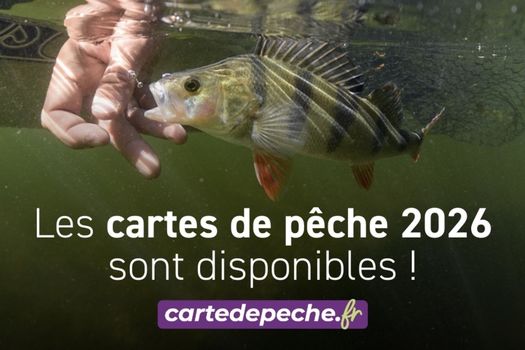 Cartes de pêche 2026