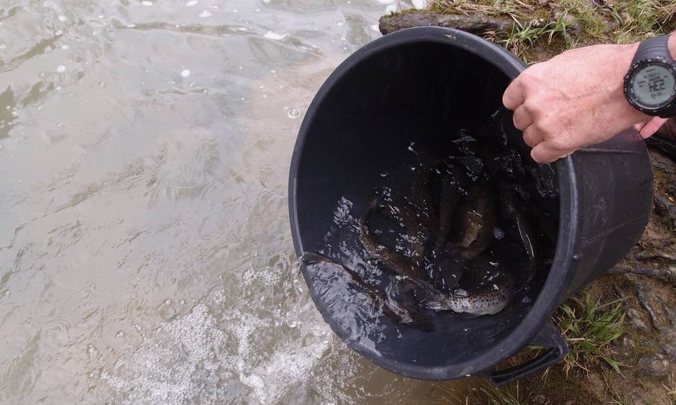 Empoissonnements annulés